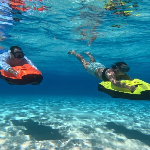 SEABOB F5 S ve F5 SR Karşılaştırması