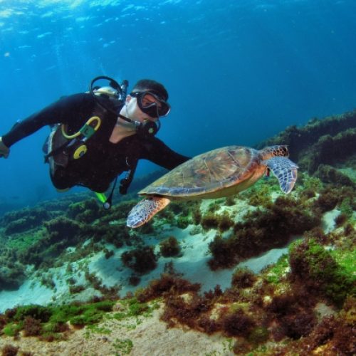 Marmaris’te Scuba Diving: Yeni Başlayanlar İçin Eksiksiz Dalış Rehberi